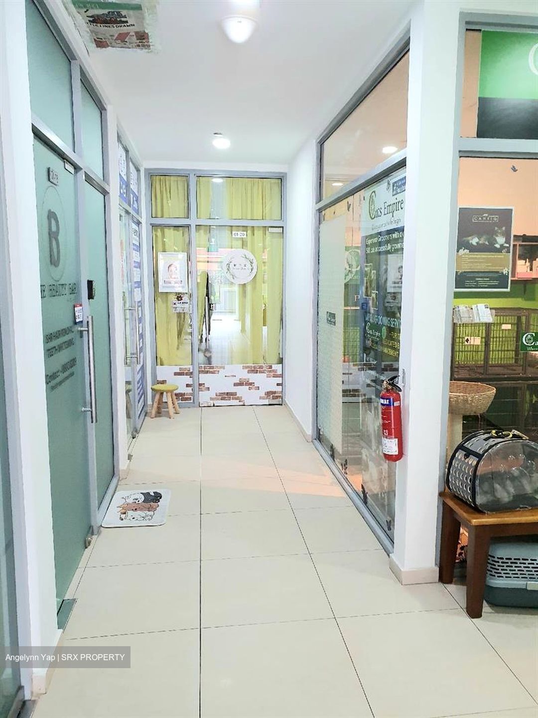 Suites @ Bukit Timah (D21), Shop House #464190081